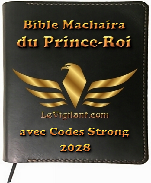 La Sainte Bible Prince-Roi 2020 avec Codes Strong