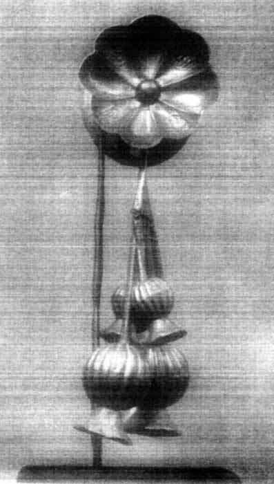 Plate 3a Plate 3a