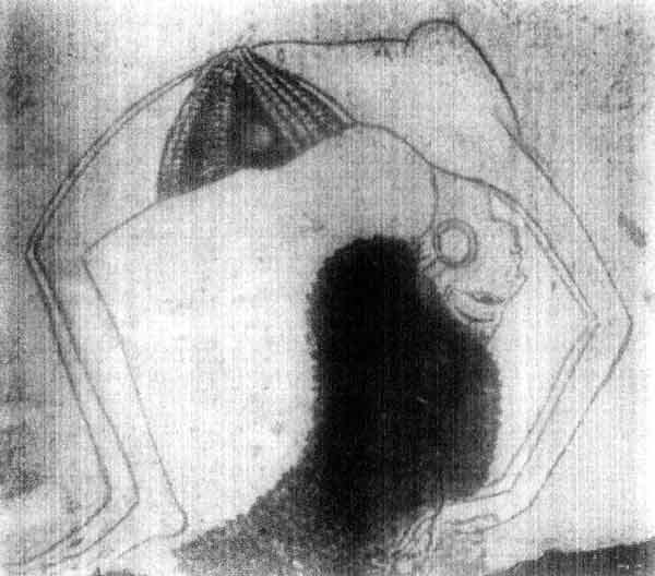 Plate 7b Plate 7b
