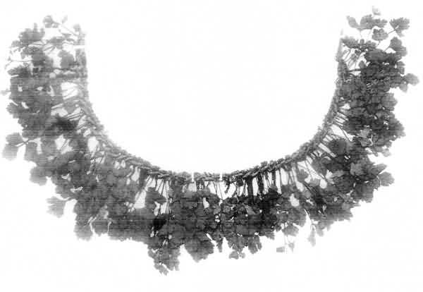 Plate 9 Plate 9