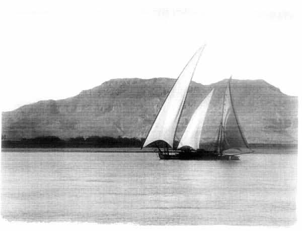 Plate 15 Plate 15