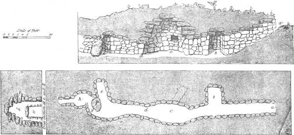 PLATE I. PLATE I.
