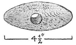 Hammer of oolitic stone.