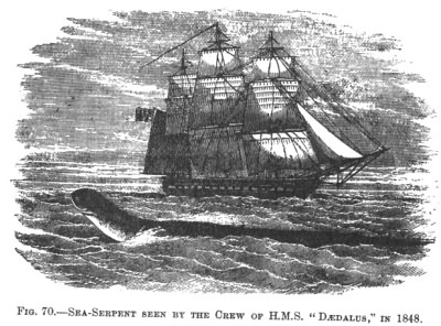 SEA-SERPENT SEEN BY THE CREW OF H.M.S. &ldquo;D&AElig;DALUS