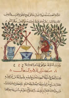 Medicine from Honey (11K)