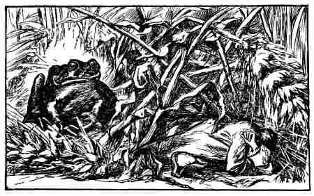 Illustration Illustration