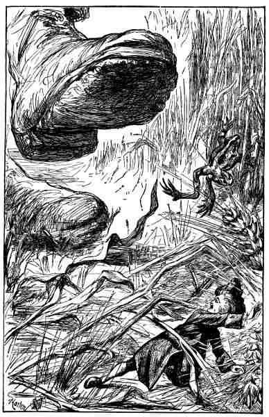 WHEREUPON THE HUGE CREATURE TROD SHORT. WHEREUPON THE HUGE CREATURE TROD SHORT.