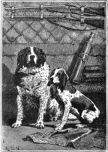 DIANA AND SATELLITE. DIANA AND SATELLITE.