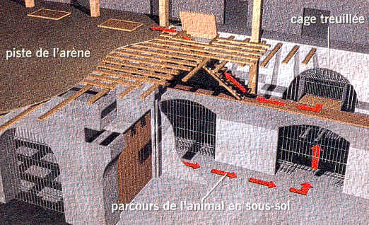 Le système des cages à fauves sous l'arène
