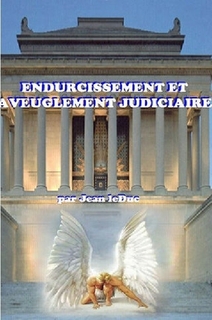 Endurcissement et aveuglement judiciaire