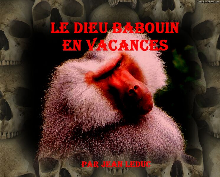 Le dieu Babouin en vacances de Christian Becquet, par Jean leDuc