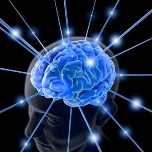 Cerveau