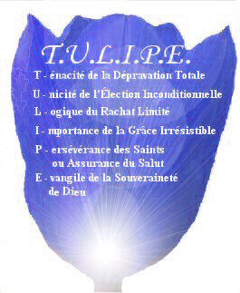 TULIPE: l'assurance du salut
